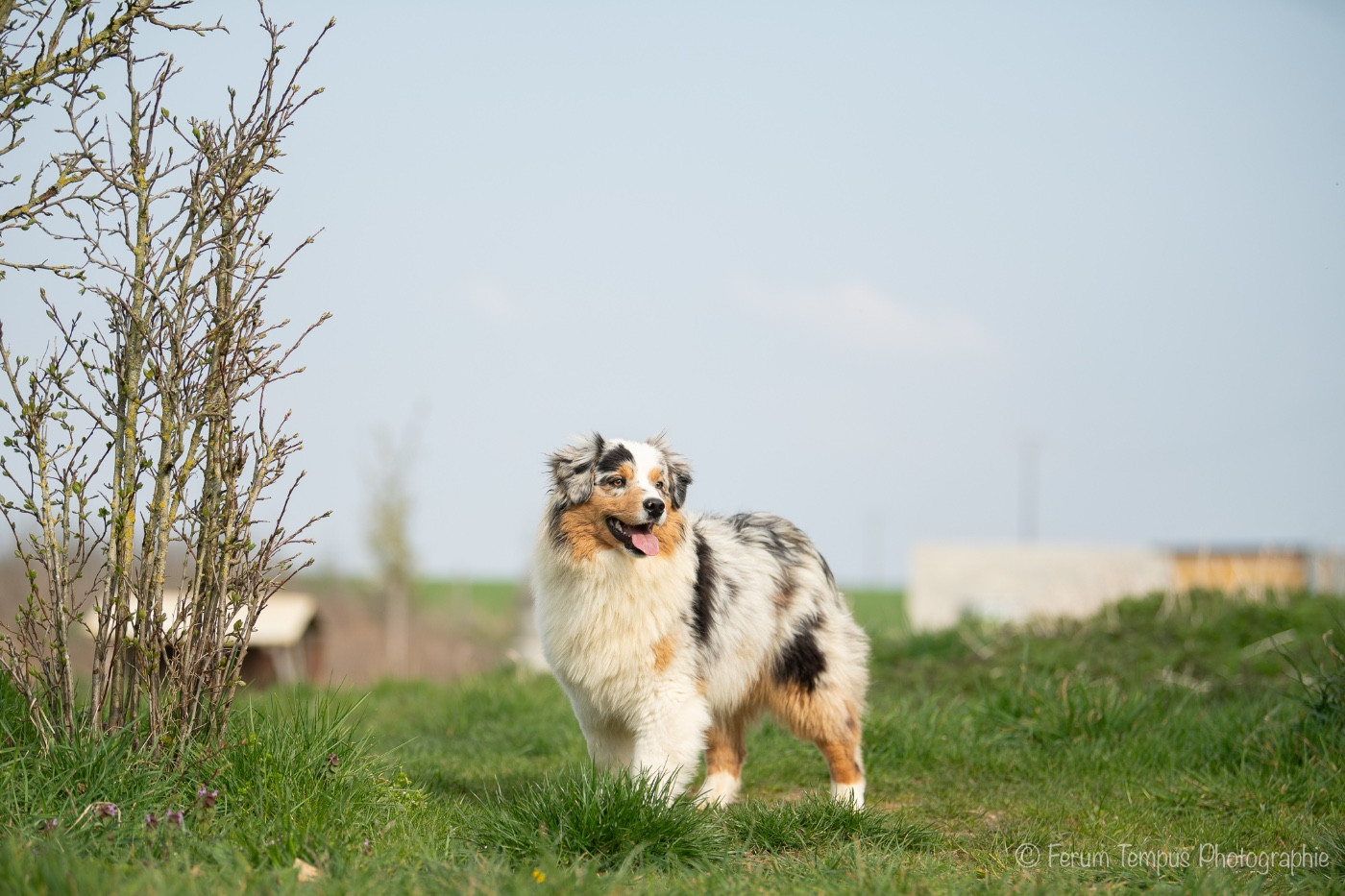 A bar song des Ptits Bergers en Terre Bio